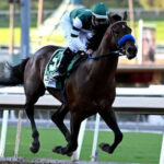 【パシフィッククラシック/米G1】無敗5連勝フライトラインが19馬身ぶっちぎりV