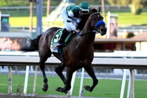 【パシフィッククラシック/米G1】無敗5連勝フライトラインが19馬身ぶっちぎりV