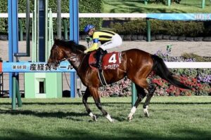 最下位ソーヴァリアントは競走中に心房細動を発症