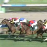 【競馬】紫苑Sは坂井騎乗のスタニングローズがV