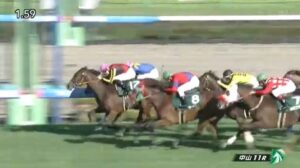 【競馬】紫苑Ｓは坂井騎乗のスタニングローズがＶ