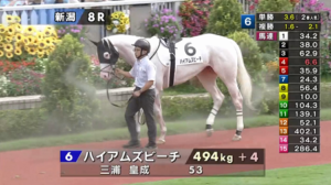 ハイアムズビーチやっとダート出てきたんか