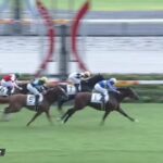【競馬】中京5R新馬戦 ディープインパクトのラストクロップ・オープンファイア(3億3000万円)がV