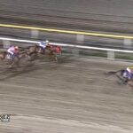 【日本テレビ盃2022】結果・動画/フィールドセンスが差し切りV