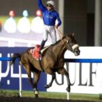 ガッツポーズや見得切りの類で印象に残ってるレースは?