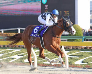19年フェブラリーS勝ち馬インティが引退 種牡馬入り