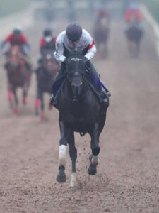 【スプリンターズS】ナムラクレアが1週前“エグい”坂路！衝撃ラスト2F23秒3