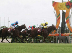 【急募】サリエラの秋華賞の鞍上