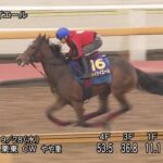 【スプリンターズステークス2022】追い切り/抜群の動きを見せたのは