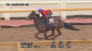 【スプリンターズステークス2022】追い切り/抜群の動きを見せたのは