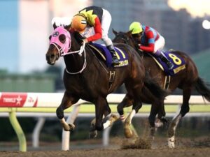 アポロケンタッキーでお馴染みのアポロサラブレッドクラブ、産駒をサラオクに大量出品