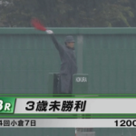 大雨で1200フルゲートの3歳未勝利戦