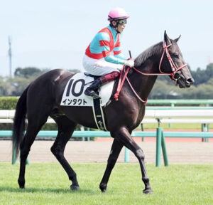 【2歳新馬】コントレイル弟インタクト雑魚すぎwww