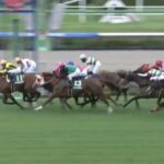 【競馬】京成杯AHは吉田隼騎乗のファルコニアがV