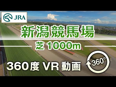 【360度VR動画】新潟競馬場 芝1000m | JRA公式