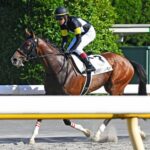 【競馬予想】[2]第76回セントライト記念(GⅡ) /2022