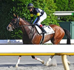 【競馬予想】[2]第76回セントライト記念(GⅡ) /2022