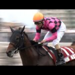 アタック!地方競馬|第179回|ワールドオールスタージョッキーズ 回顧|NAR公式