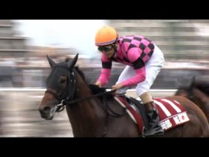 アタック！地方競馬｜第179回｜ワールドオールスタージョッキーズ 回顧｜NAR公式