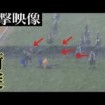 【JRA史上最悪の事故】レース中に係員と衝突…人馬の行方は