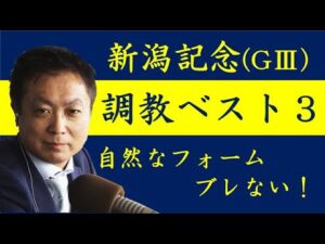 《新潟記念 調教ベスト３》調教が最も良かった馬は？競馬エイト・高橋賢司トラックマンが解説