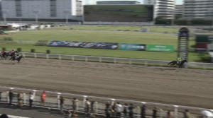 うっかり12/27に産まれちゃったプリーミーがデビュー