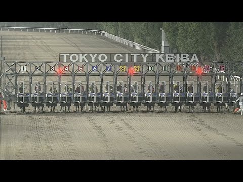 2022年 東京記念｜JBC指定競走｜NAR公式