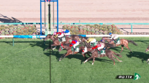 【紫苑S】サークルオブライフとはなんだったのか・・・