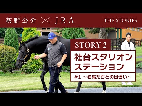 『萩野公介×JRA  THE STORIES』「STORY２ 社台スタリオンステーション」#1 ～名馬たちとの出会い～ | JRA公式