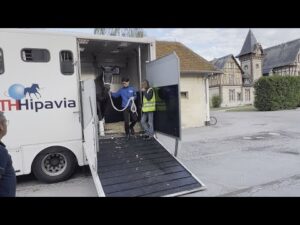 【2022凱旋門賞】ディープボンド、エントシャイデンがフランスに到着｜JRA公式