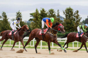 【コリアカップ】1番人気日本馬セキフウ3着に敗れる