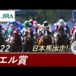 【凱旋門賞前哨戦】 ニエル賞(G2) 【ドウデュース出走】 | JRA公式
