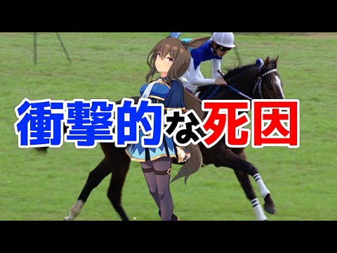 【競馬】シヨノロマン-人も馬も魅了した美女