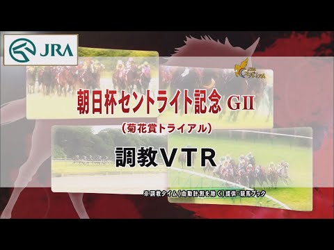 【調教動画】2022年 セントライト記念｜JRA公式