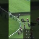障害レースで落馬発生 後続馬も次々と…