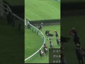 障害レースで落馬発生　後続馬も次々と…