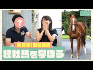 【オルフェを愛するあの人が怒りの再登場！？】社台スタリオンステーションの貴重な取材映像と共に種牡馬を学ぼう！