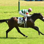 【競馬予想】[1]第70回神戸新聞杯(GⅡ) /2022