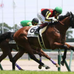 ダイヤモンドハンズ、右橈骨遠位端の剥離骨折で全治6ヶ月以上