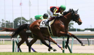 ダイヤモンドハンズ、右橈骨遠位端の剥離骨折で全治6ヶ月以上