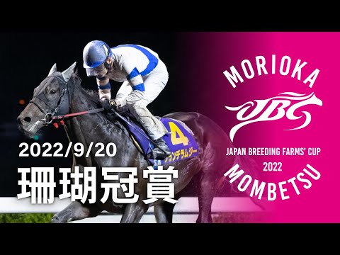 2022年 珊瑚冠賞｜JBC指定競走｜NAR公式