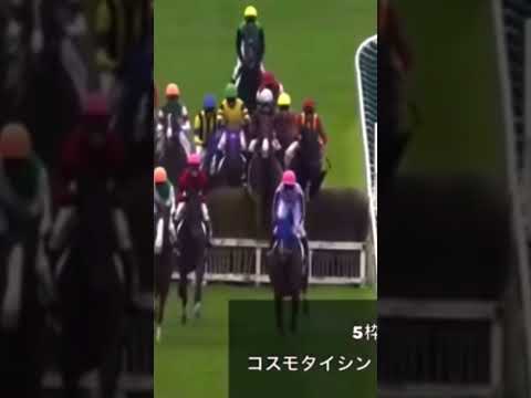 障害レース飛越時に落馬事故発生 騎手は…