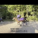 【2022凱旋門賞】ドウデュース1週前追い切り(9月21日(水曜)) | JRA公式
