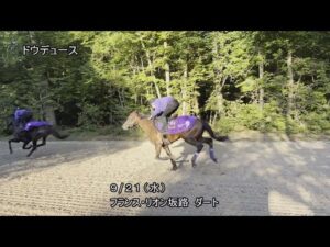 【2022凱旋門賞】ドウデュース1週前追い切り（9月21日（水曜）） | JRA公式