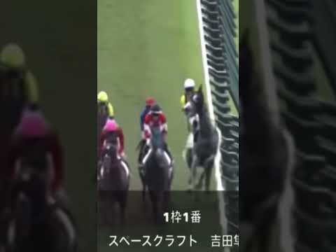 急性心不全でレース途中に落馬