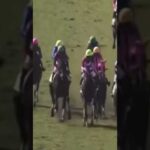 それはこんだけ密集したら、事故起きますわ…