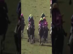 それはこんだけ密集したら、事故起きますわ…