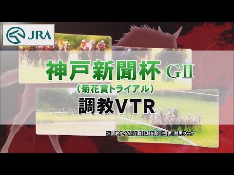 【調教動画】2022年 神戸新聞杯｜JRA公式