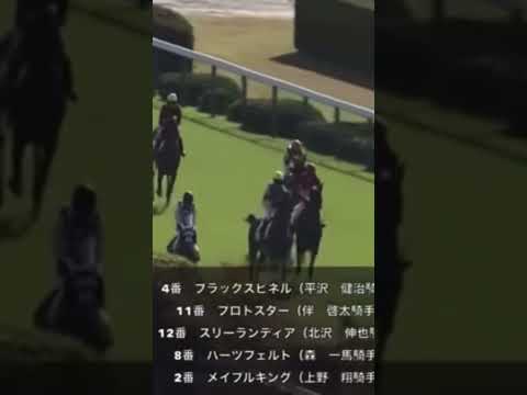 1レースで５頭落馬