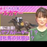秋の大舞台を目指す豪華メンバーが集結!『細江のネタ帳』オールカマー(GⅡ)